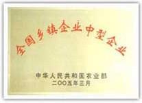 中型企业证书